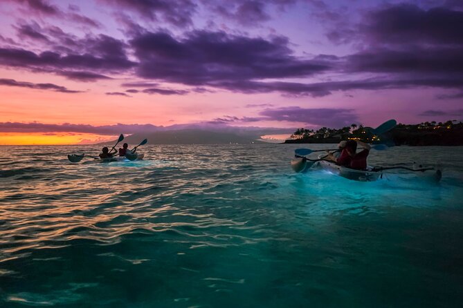 Clear Kayak Sunset and Glow Tour in Maui - The Clear Kayaks: Why the Underwater View Is the Whole Point