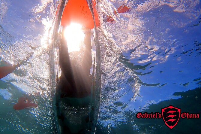 Clear Kayak Tour with Pontoons and Optional Snorkeling-Unlimited - Key points before you go