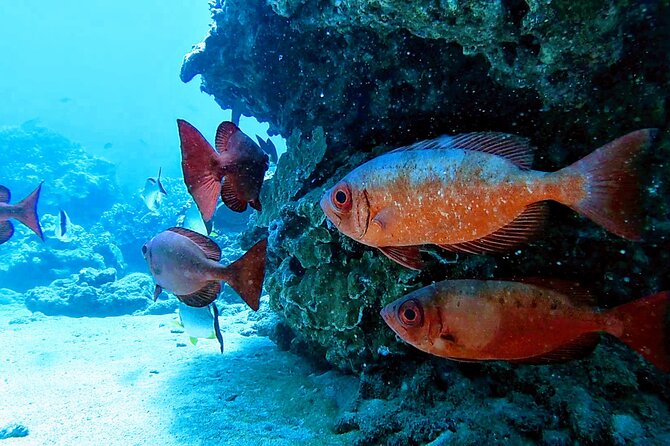Clear Kayak Tour with Pontoons and Optional Snorkeling-Unlimited - Your Guides: Jason and Gabriel’s Style (And Why It Shows Up in the Reviews)