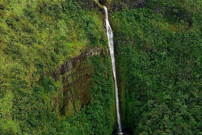 Complete Island 60-Minute Helicopter Tour - Molokai sea cliffs and winter whale-spotting