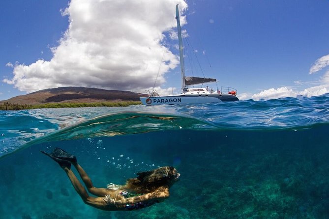 Coral Gardens Coastal Snorkel & Sail - From Maalaea to the water: how this Maui timing really feels