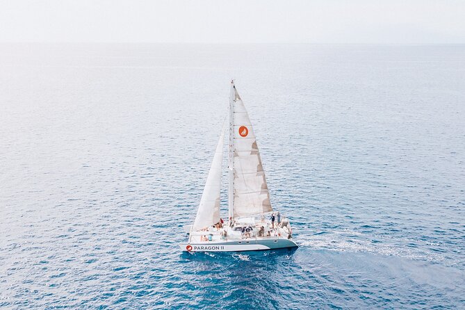 Coral Gardens Coastal Snorkel & Sail - Food and drinks: what the buffet lunch is like at sea