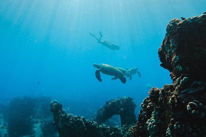 Coral Gardens Coastal Snorkel & Sail - Price and value: why $129.73 can work for families and couples