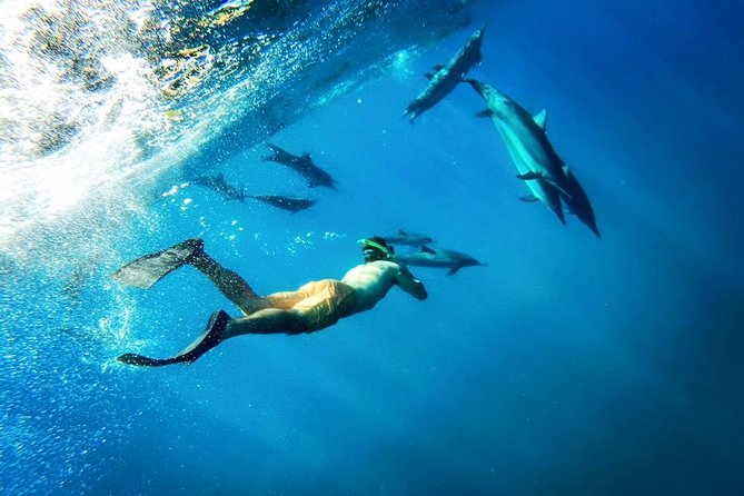 Coral Gardens Coastal Snorkel & Sail - Snorkeling basics: gear, floatation, and what to expect in the water