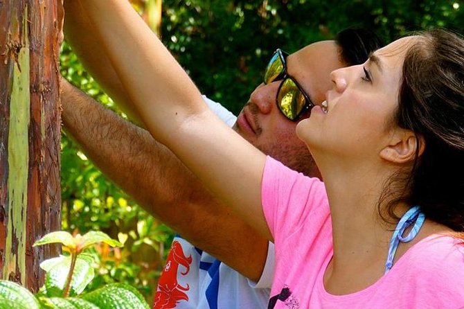 Deluxe Halfway to Hana: Private Tour from Kahului - Rainbow eucalyptus, bamboo thickets, and a village stop that’s not a tourist prop