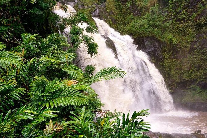 Deluxe Halfway to Hana: Private Tour from Kahului - Waterfall pool time: swims are optional, but you should pack like they matter