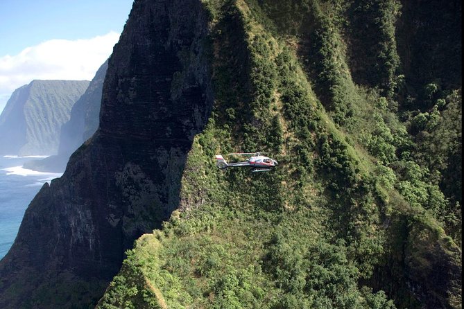 Deluxe Helicopter Tour of Molokai and Maui - Airbus EC130 in the Air: Why the Aircraft Matters