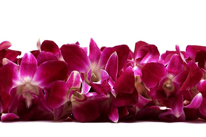 Deluxe Orchid Lei Greeting (Maui, Kahului Airport, OGG) - Key things to know before you land