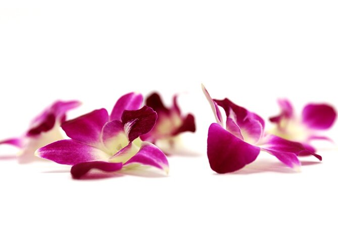 Deluxe Orchid Lei Greeting (Maui, Kahului Airport, OGG) - Best timing: hours and where to meet