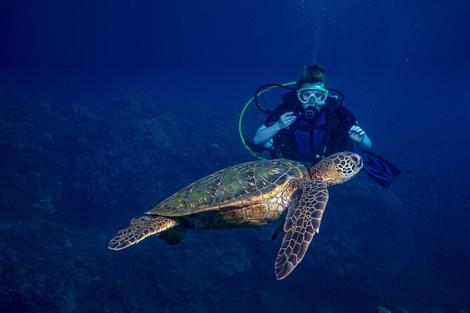 Discover Scuba Diving Class from Lahaina - Key things that make this Lahaina setup work