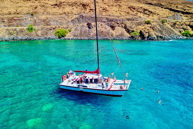 Discover the Magic of Coral Garden’s Turtle Town - Maalaea Harbor - Turtle Town, Coral Garden, or Olowalu: how the reef stops work