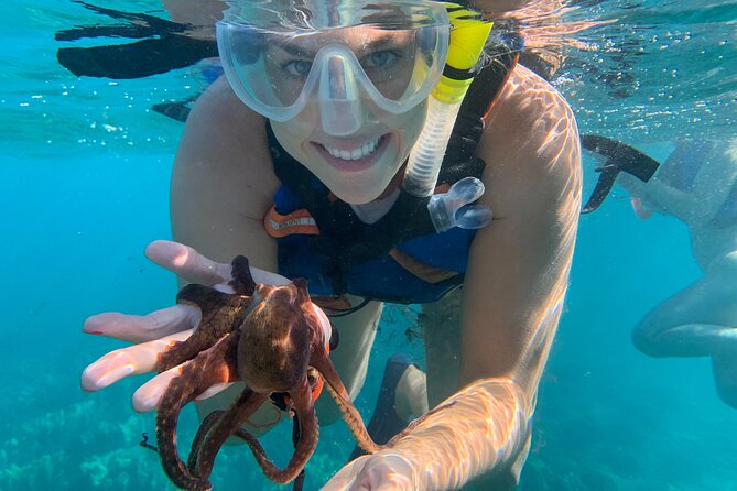 E-Scooter Snorkel With Photo and Video At Turtle Town - Why E-Scooters at Turtle Town Make Snorkeling Feel Effortless