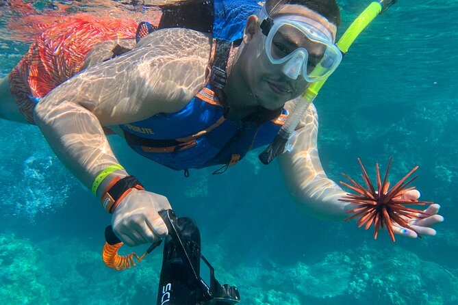 E-Scooter Snorkel With Photo and Video At Turtle Town - The Turtle Town Snorkel Hour: What You’ll Actually See
