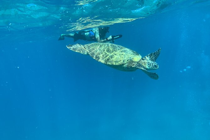 E-Scooter Snorkel With Photo and Video At Turtle Town - Gear Up Fast: What’s Included (and What You’ll Pay Extra For)