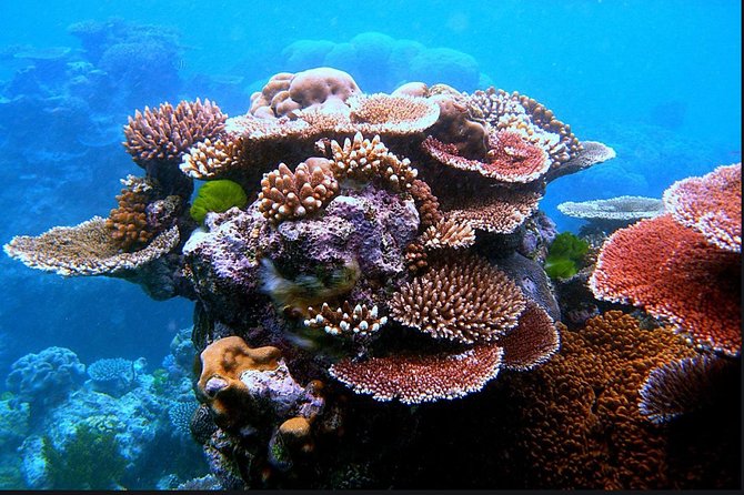 Eco Sea Scooter Guided Beach Tour From The Famous Kapalua Bay - Guides, Small-Group Attention, and the Human Side