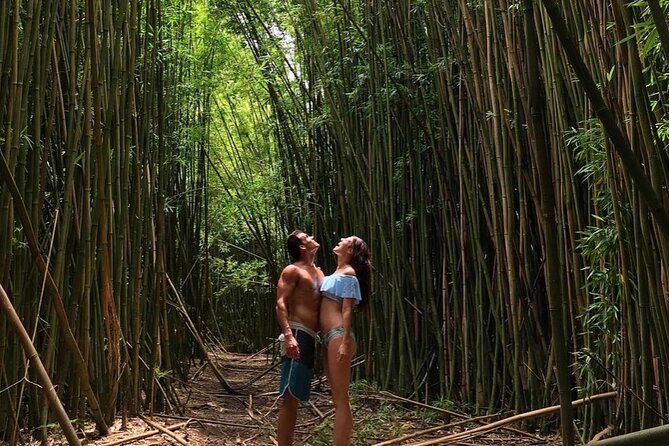 Epic Waterfall Adventure - GO PRO 13 footage included - Key Highlights That Make This Maui Waterfall Adventure Worth It