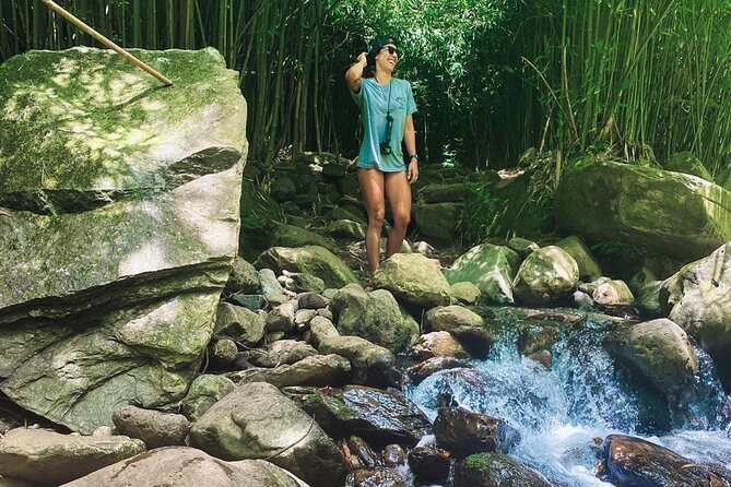 Epic Waterfall Adventure, the Best of Maui - Swim Time, Rope Swings, and Optional Cliff Jumping