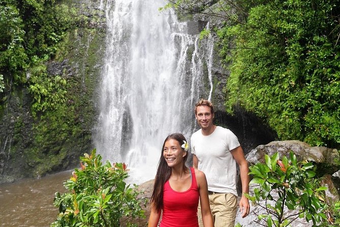 Epic Waterfall Adventure, the Best of Maui - Pace, Fitness Level, and Terrain Reality