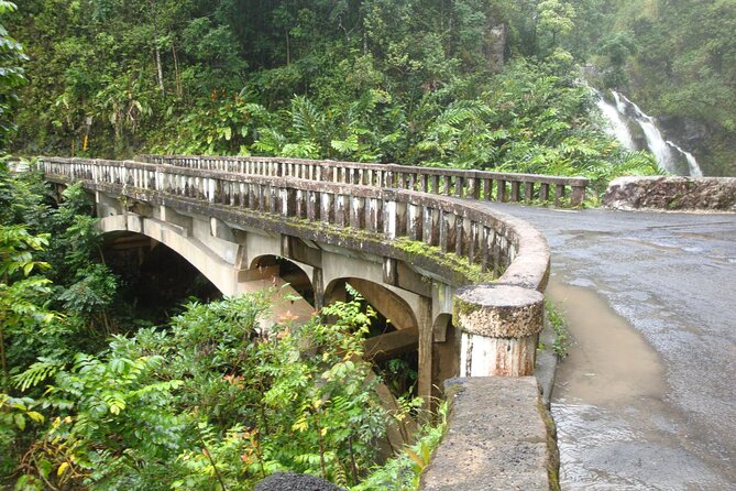 Famous Road to Hana Waterfalls, Black Sand Beach & Lunch - Twin Falls and Haipua’ena Falls: same road, different feel