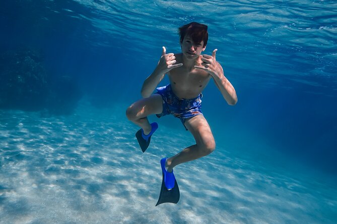 First Timers and Non-Swimmers Snorkeling Experience in Wailea - What You’ll See: Turtles, Coral Sanctuaries, and Other Sea Life