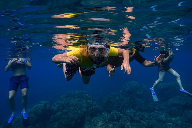 First Timers and Non-Swimmers Snorkeling Experience in Wailea - Optional Sea Scooters and Extra Float Help for Comfort