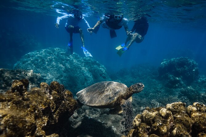 First Timers and Non-Swimmers Snorkeling Experience in Wailea - Practical Prep: What to Bring (So You Don’t Suffer)