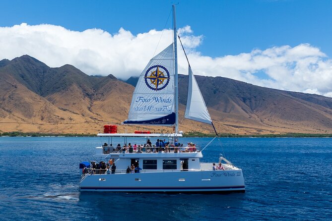 Four Winds Maui Afternoon Snorkel Tour to Coral Gardens - Price, Timing, and Crowd Size: When It’s a Smart Buy