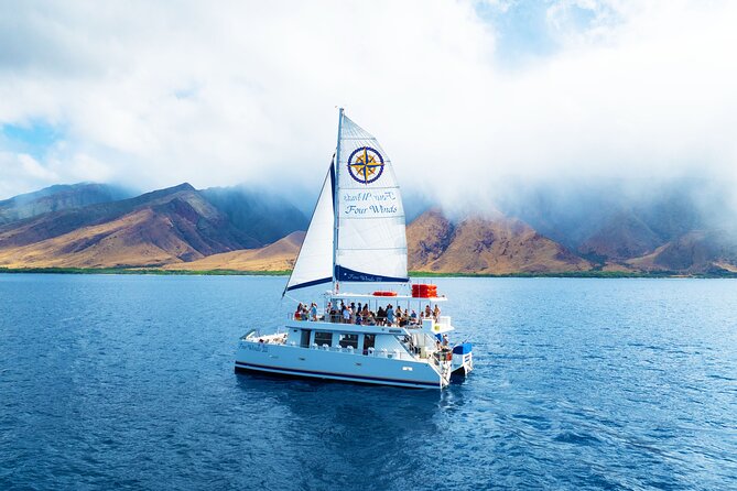 Four Winds Maui Afternoon Snorkel Tour to Coral Gardens - Slip #80 Logistics: Check-In and Getting There Smoothly