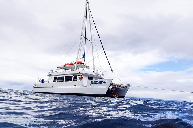 Four Winds Molokini Snorkeling Tour from Maalaea Harbor - Maalaea Harbor Morning: Checking In for an Easy Cruise