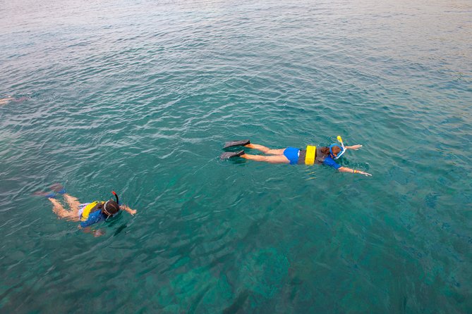 Four Winds Molokini Snorkeling Tour from Maalaea Harbor - Food and Drinks On Board: More Than a Side Benefit