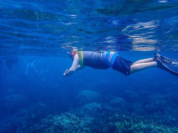 Four Winds Molokini Snorkeling Tour from Maalaea Harbor - Extras Worth Paying For: SNUBA, Photos, and Wetsuit Rentals
