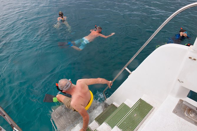 Four Winds Molokini Snorkeling Tour from Maalaea Harbor - Who This Tour Suits Best (And Who Should Think Twice)