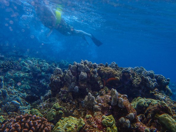 Four Winds Molokini Snorkeling Tour from Maalaea Harbor - Cruising Toward Molokini: Haleakalā Views and Island-Hunting