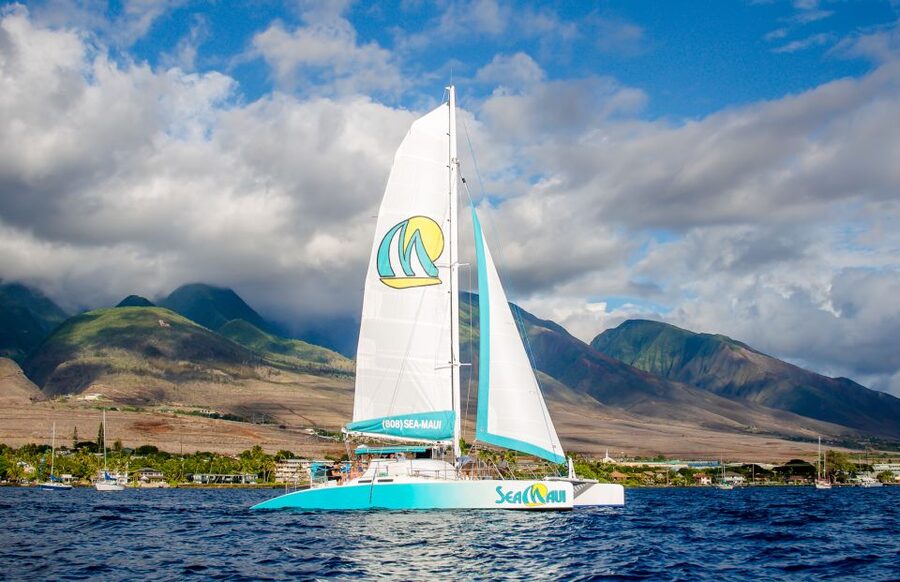 From Kaanapali: Afternoon West Maui Snorkeling w/ Drinks - Why an afternoon cruise works so well in West Maui