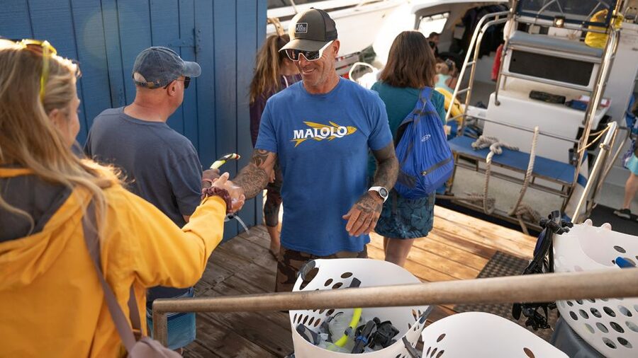 From Ma'alaea: Afternoon Whale Watch Tour Aboard the Malolo - Key things that make the Malolo whale watch work