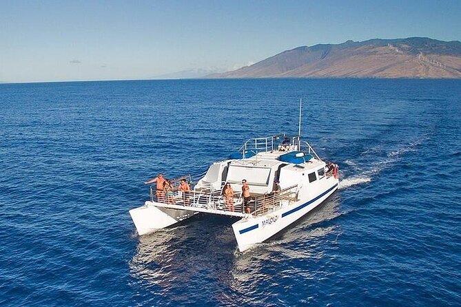 From Ma'alaea Harbor: Sunset Whale Watch Tour Aboard the Malolo - Key Points That Make This Tour Worth a Look
