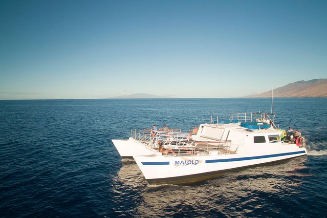 From Ma'alaea Harbor: Whale Watch Cruise Aboard the Malolo - Drinks, snacks, and what you can bring (and what you can’t)