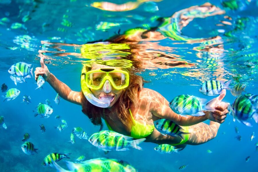 From Ma'alaea: Turtle Town Snorkel aboard Quicksilver - Snorkel logistics that matter: safety, rules, and comfort