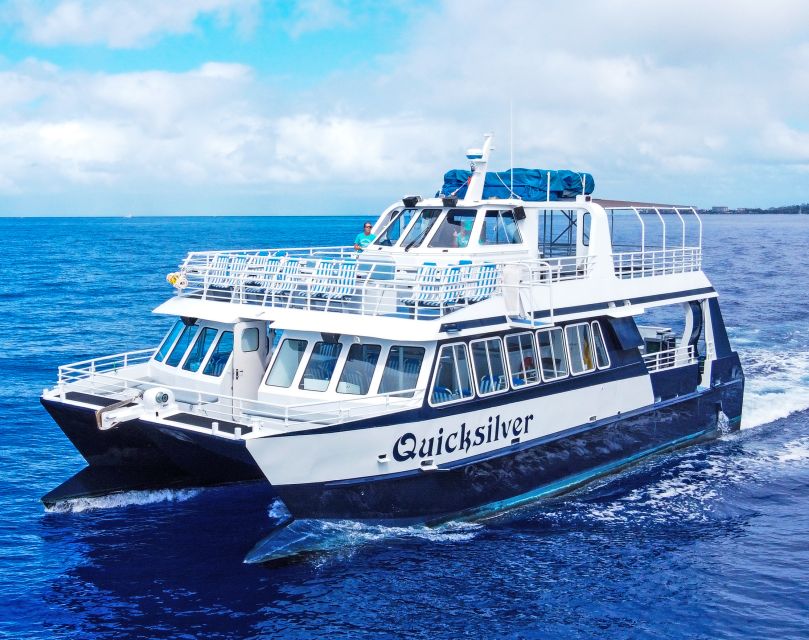 From Ma'alaea: Turtle Town Snorkel aboard Quicksilver - Back on board: lunch, drinks, and the return wildlife hunt