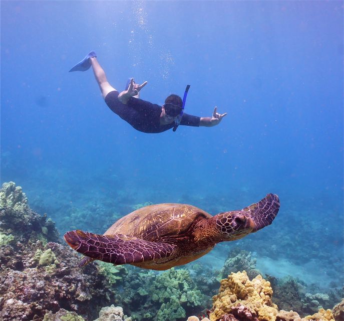 From Ma'alaea: Turtle Town Snorkel aboard Quicksilver - Getting checked in at Boss Frog’s: do this before you’re rushed