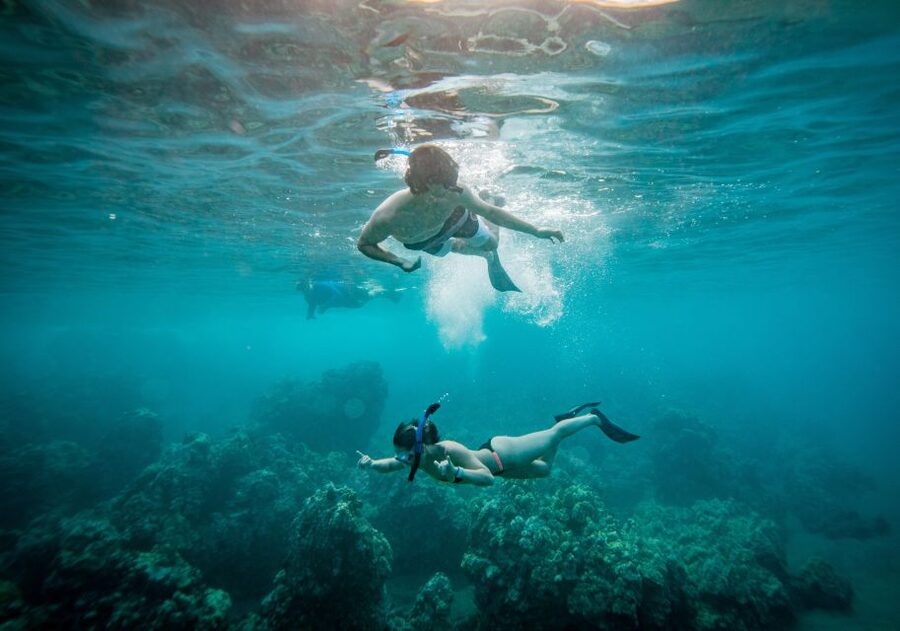 From Maalaea: Turtle Town 3-Hour Snorkel and Sail Adventure - Meeting at Maalaea: the check-in game plan that saves time