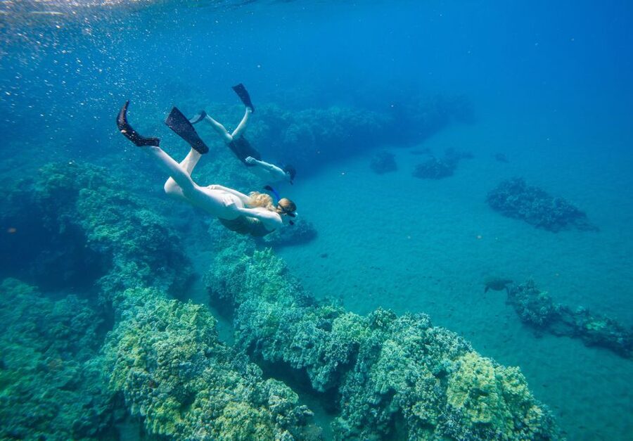 From Maalaea: Turtle Town 3-Hour Snorkel and Sail Adventure - What “safety first” means on the water