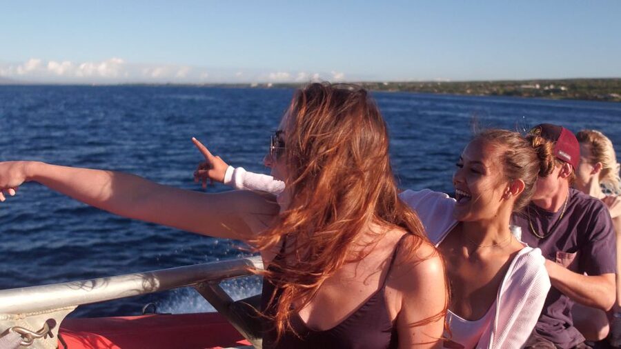 From Maalaea: Whale Watching Catamaran Cruise with Drinks - The whale watching portion: what 1.5 hours really feels like