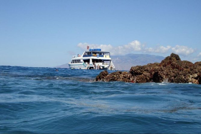 From Maalaea: Whale Watching Tour Aboard the Quicksilver - Is the Quicksilver worth $49.95 for Maui whale watching?