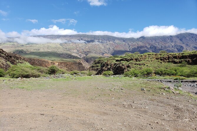 Full-Circle "Reverse" - Luxury Road to Hana Tour from South Maui - Upcountry Maui on Haleakala Highway: Pukalani, Kula, Keokea, and more