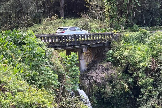 Full Day Private Maui Waterfall, Beach & Hana Tour - Pua’a Ka’a State Park Waterfalls: The Payoff Stop
