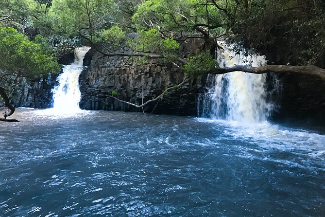 Full Day Private Maui Waterfall, Beach & Hana Tour - Wai’anapanapa State Park: Black Sand, Volcanic Coast, and Sea Life
