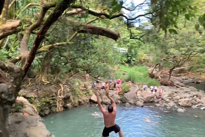 Full-Day Road to Hana and Waterfall Tour - Stop 1: Hookipa Beach Park for Wind, Turtles, and Big-Photo Energy