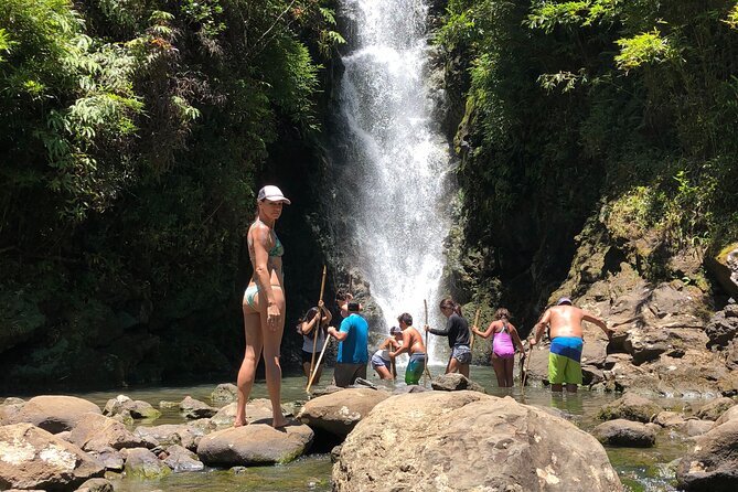 Full-Day Road to Hana and Waterfall Tour - Stop 4: Waianapanapa State Park and the Black Sand You Came For