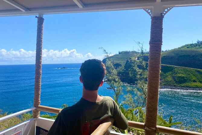 Fun & Affordable! West Maui Open-Air Sightseeing Tour! - Kapalua Resort Area: Scenic Driving With Minimal Walking